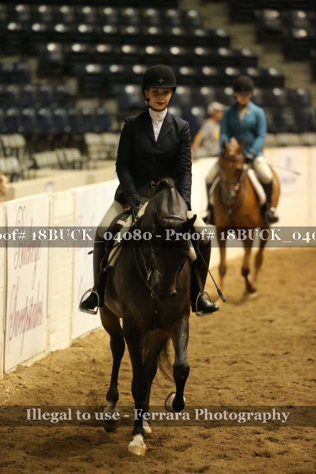 Proof 18BUCK_04080