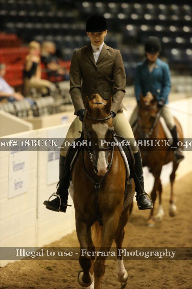 Proof 18BUCK_04081