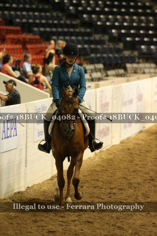 Proof 18BUCK_04082