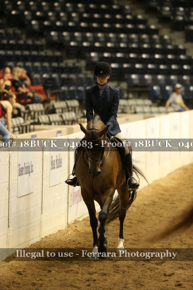 Proof 18BUCK_04083