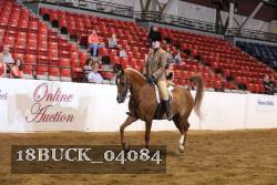 18BUCK_04084 proof