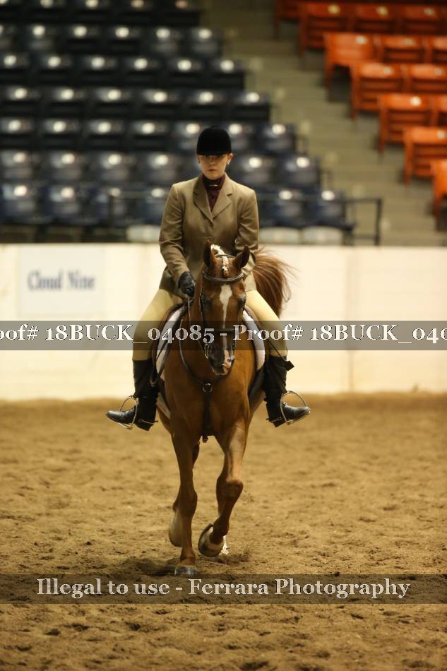 Proof 18BUCK_04085