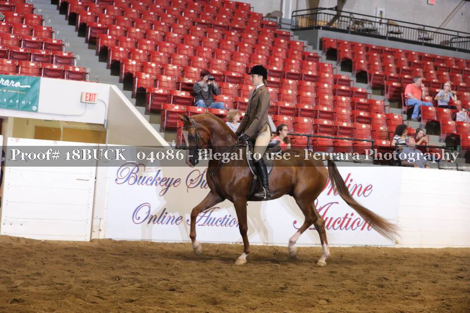 Proof 18BUCK_04086