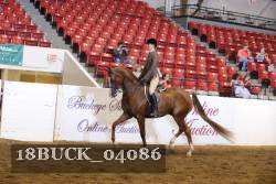 18BUCK_04086 proof