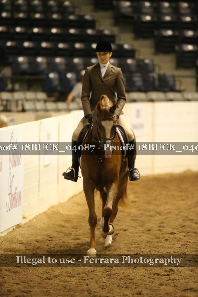 Proof 18BUCK_04087
