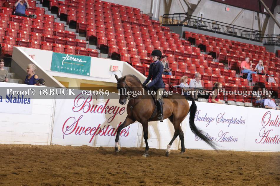 Proof 18BUCK_04089