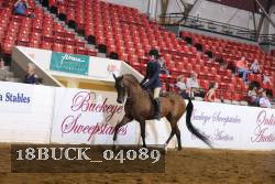 18BUCK_04089 proof