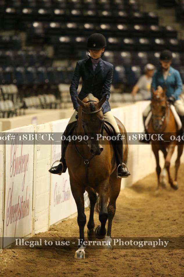 Proof 18BUCK_04090
