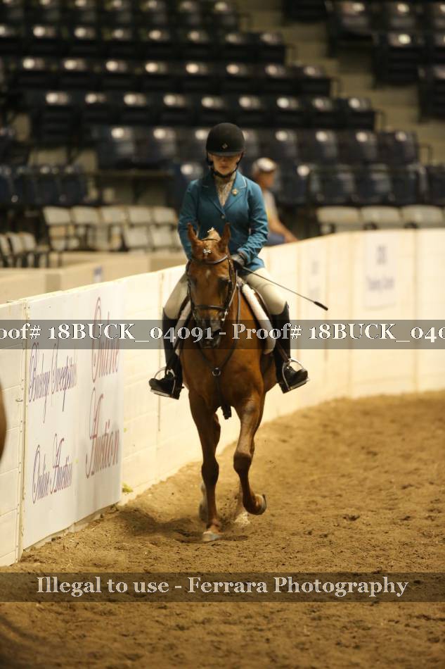 Proof 18BUCK_04091