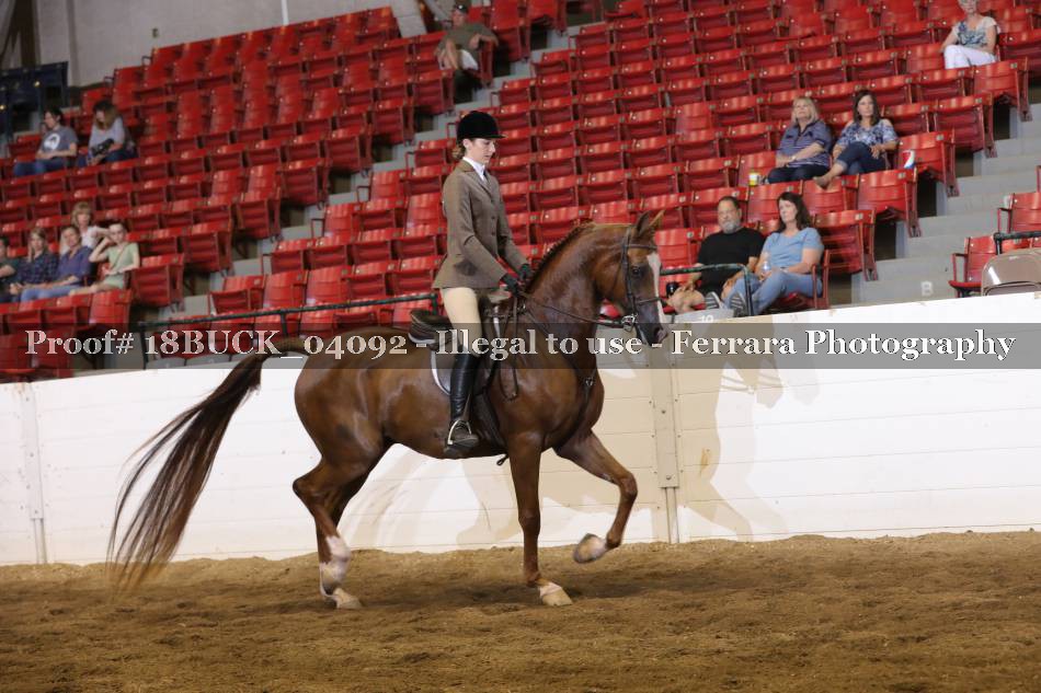 Proof 18BUCK_04092
