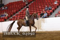 18BUCK_04092 proof
