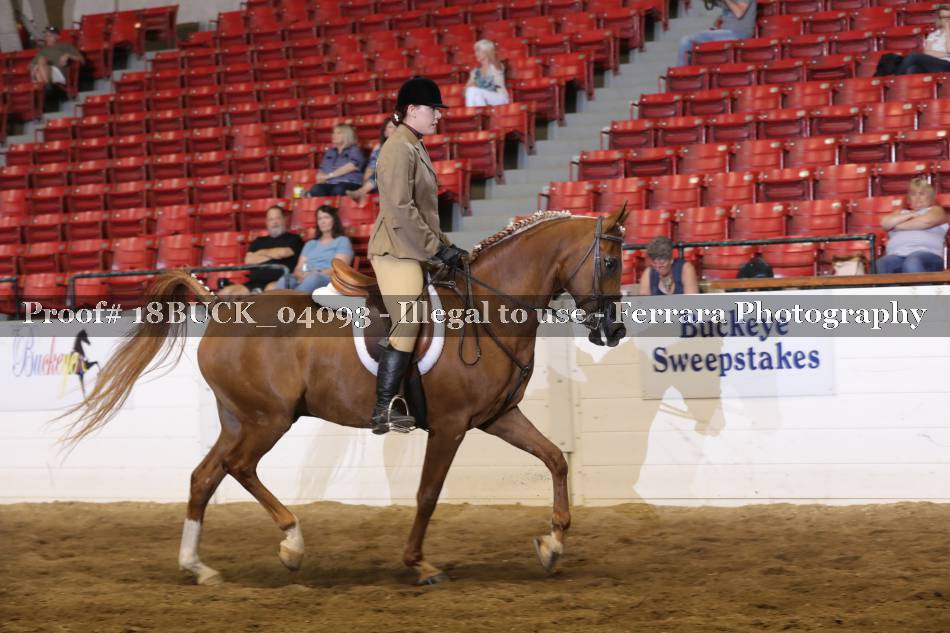 Proof 18BUCK_04093
