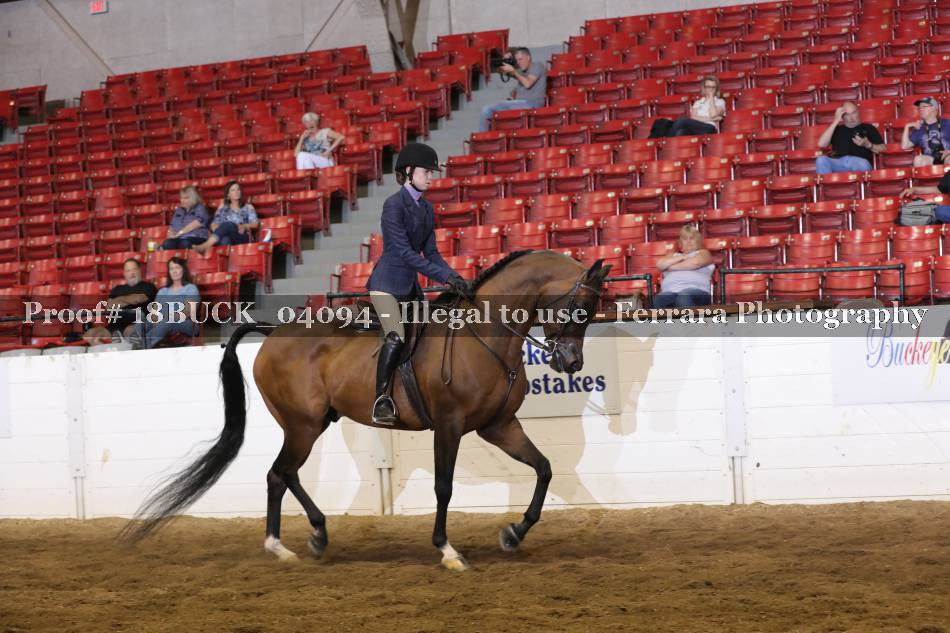 Proof 18BUCK_04094