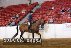 18BUCK_04094 proof