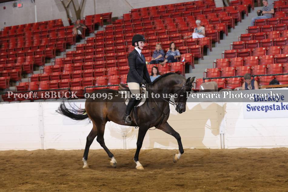 Proof 18BUCK_04095