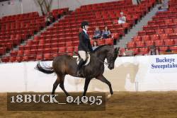 18BUCK_04095 proof
