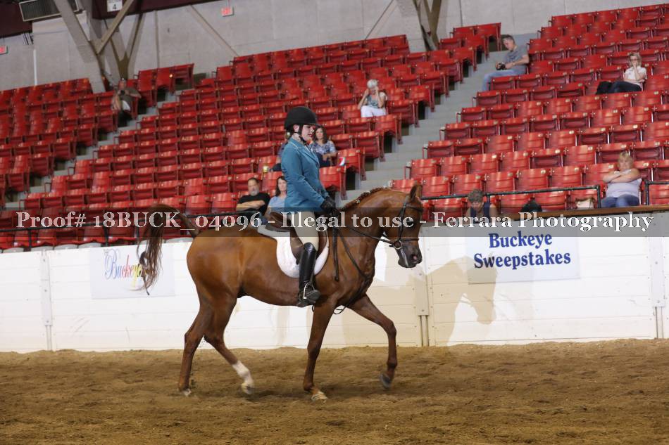 Proof 18BUCK_04096