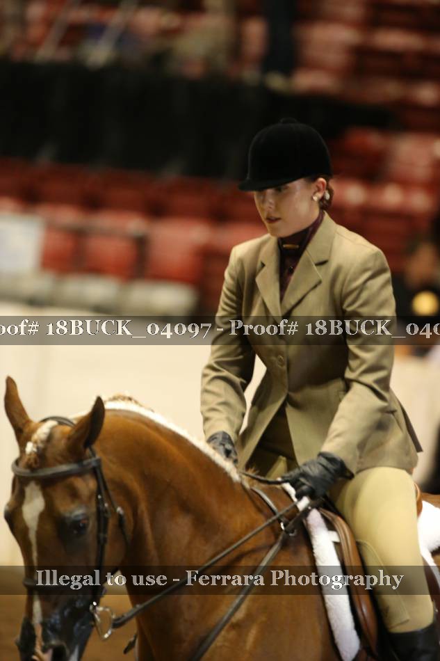 Proof 18BUCK_04097