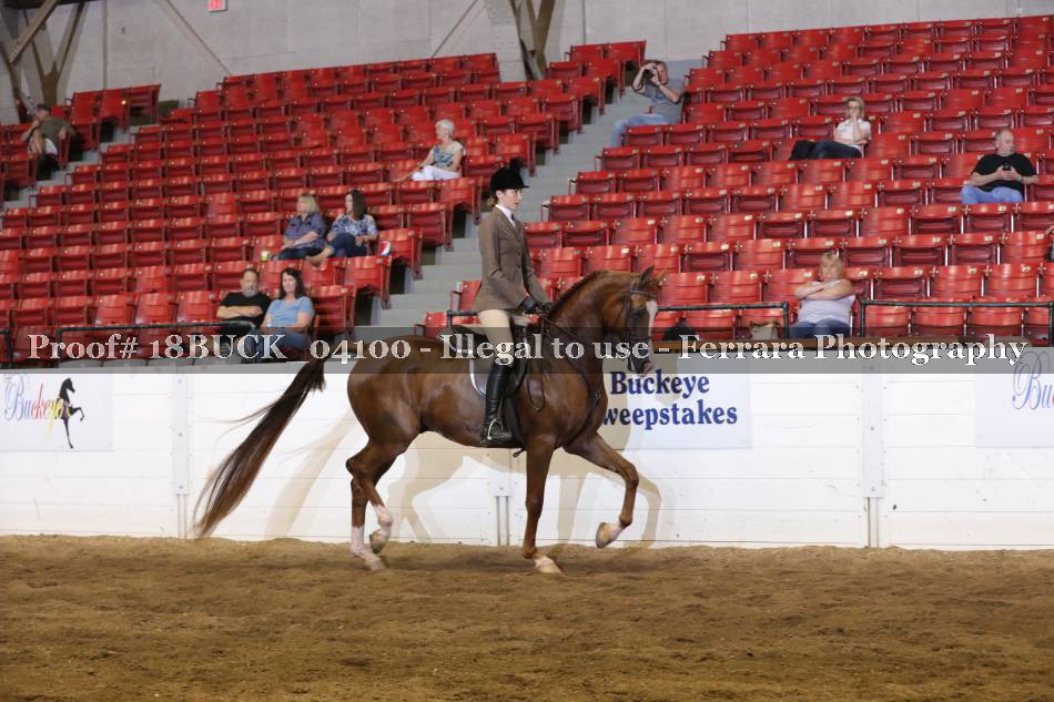 Proof 18BUCK_04100