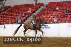 18BUCK_04100 proof
