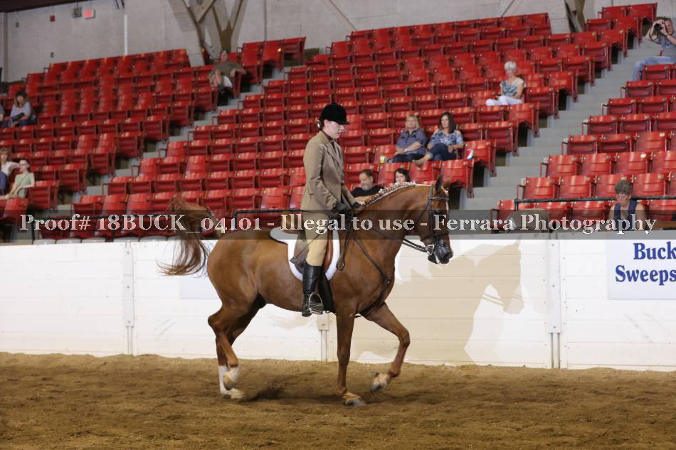 Proof 18BUCK_04101