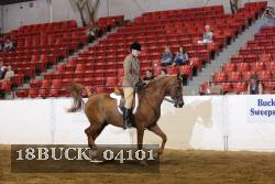 18BUCK_04101 proof