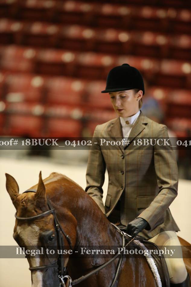 Proof 18BUCK_04102