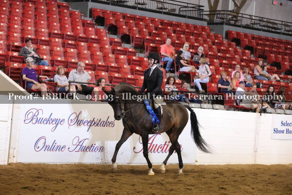 Proof 18BUCK_04103