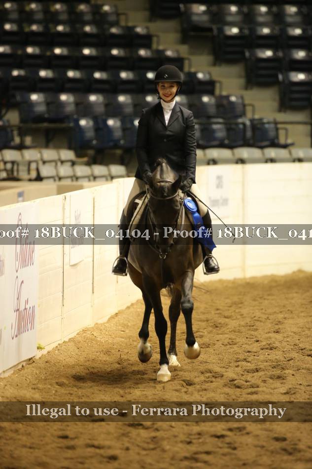 Proof 18BUCK_04104