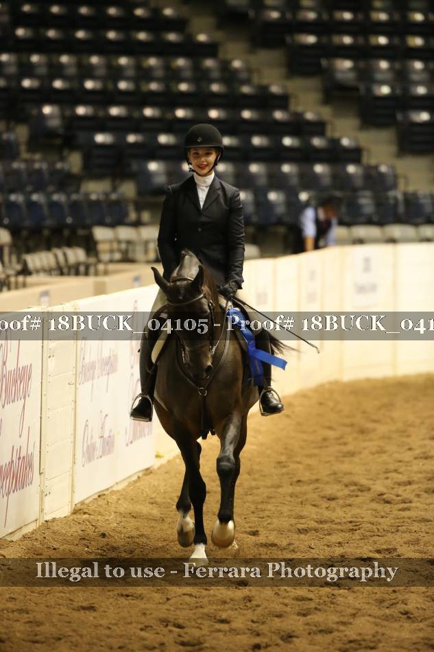 Proof 18BUCK_04105