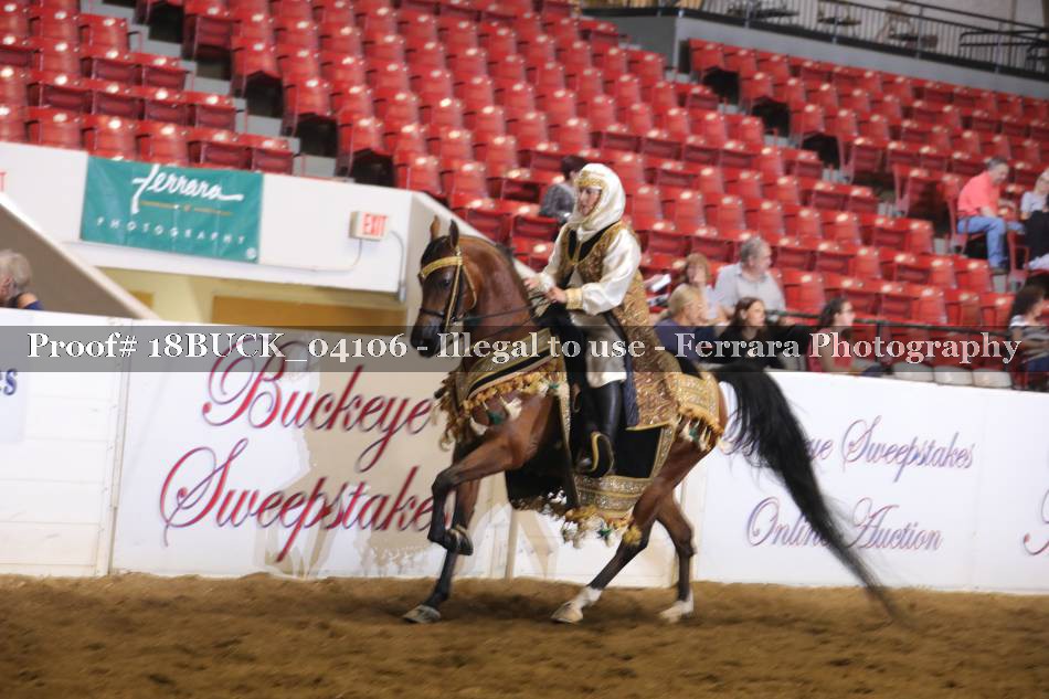 Proof 18BUCK_04106