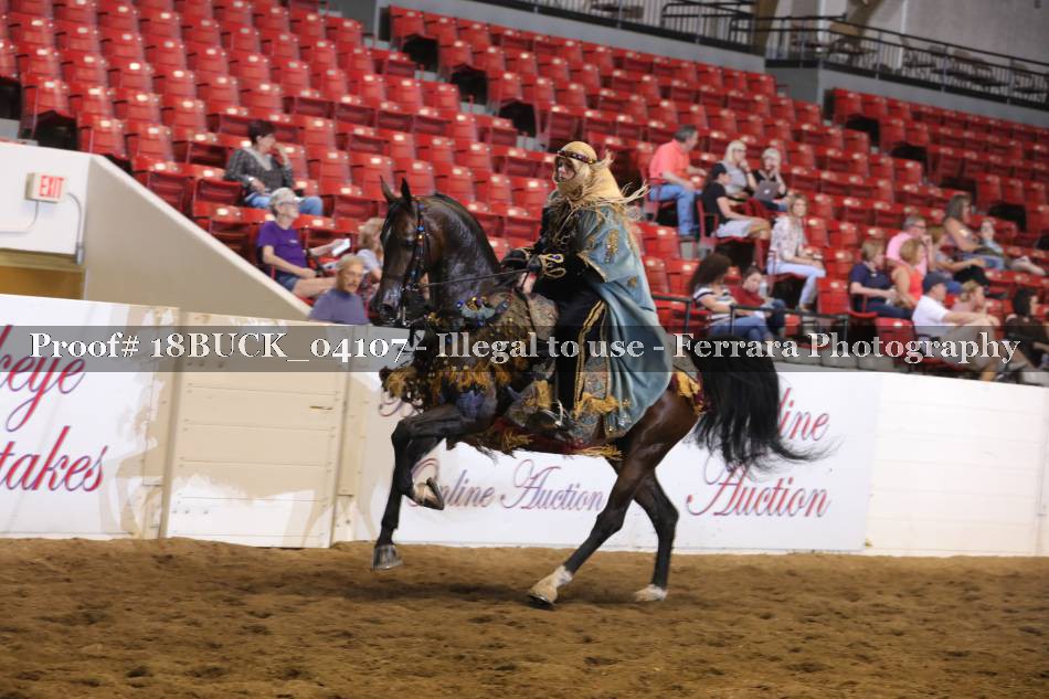 Proof 18BUCK_04107