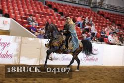 18BUCK_04107 proof