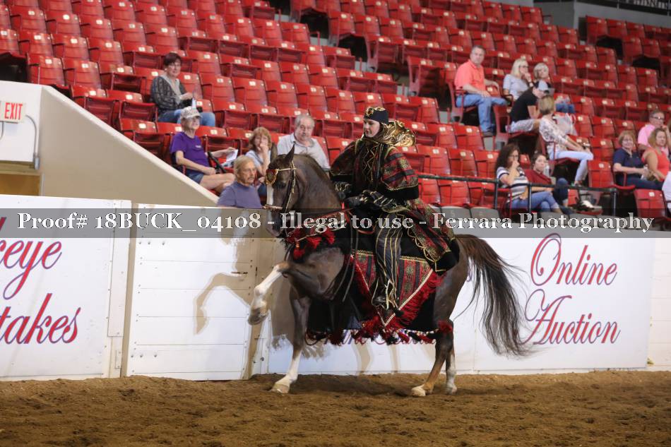 Proof 18BUCK_04108