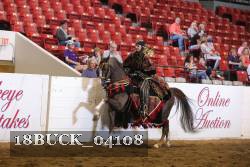 18BUCK_04108 proof