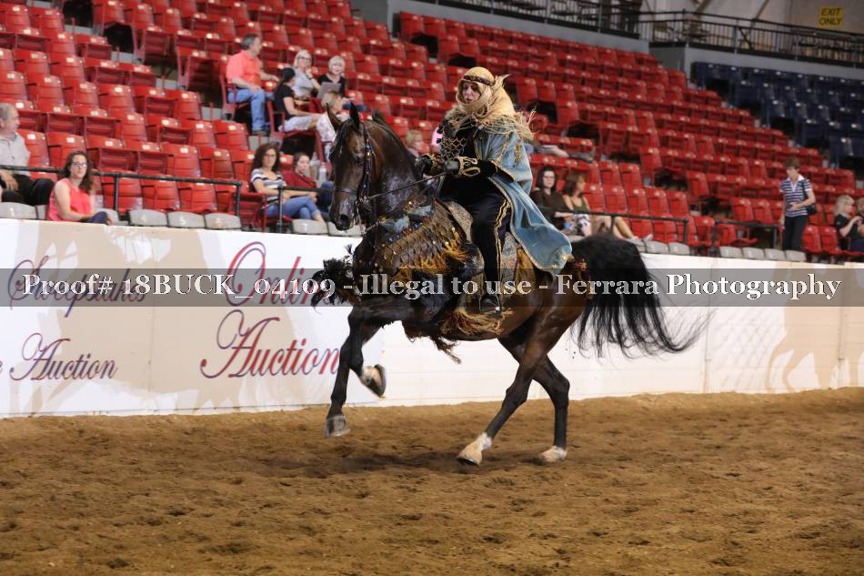 Proof 18BUCK_04109