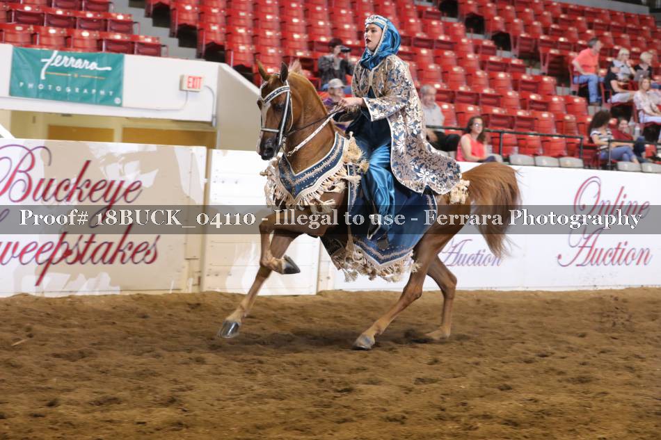 Proof 18BUCK_04110