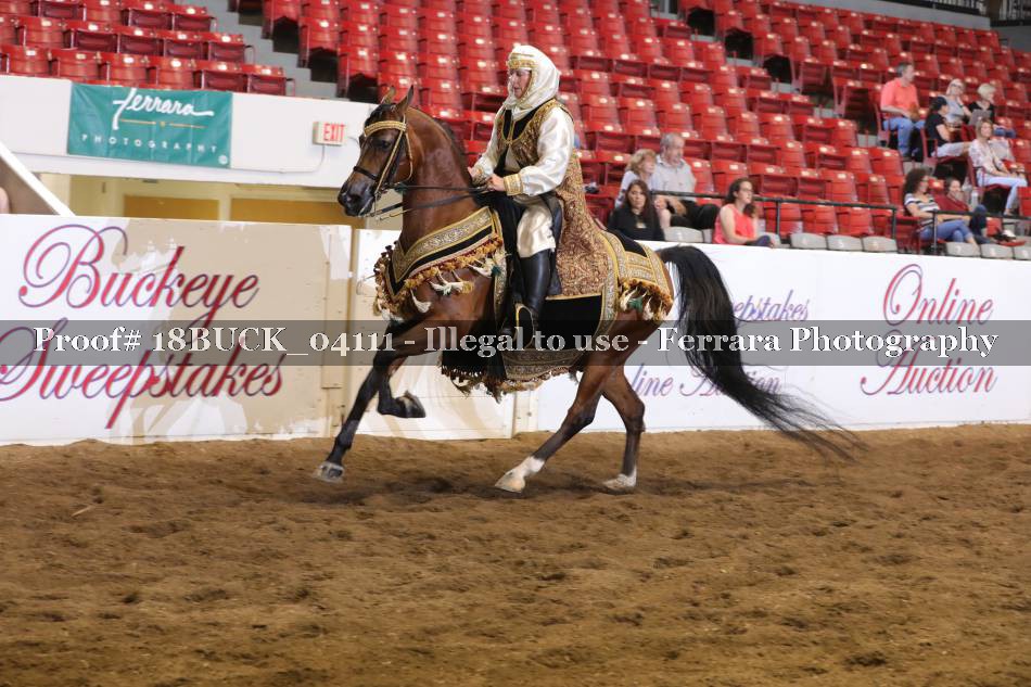Proof 18BUCK_04111