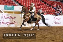 18BUCK_04111 proof