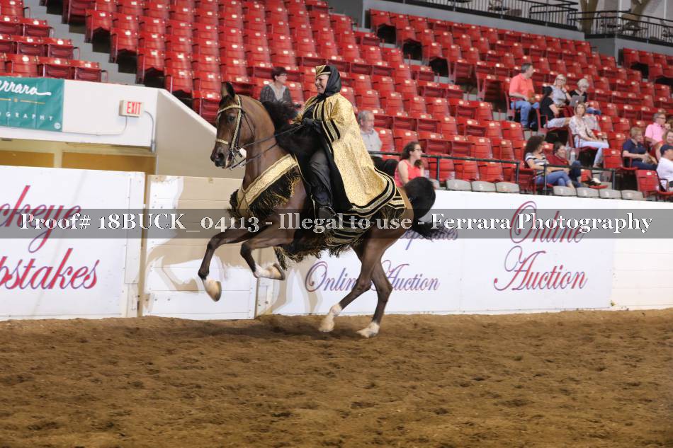 Proof 18BUCK_04113