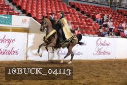 18BUCK_04113 proof