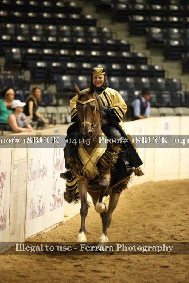 Proof 18BUCK_04115