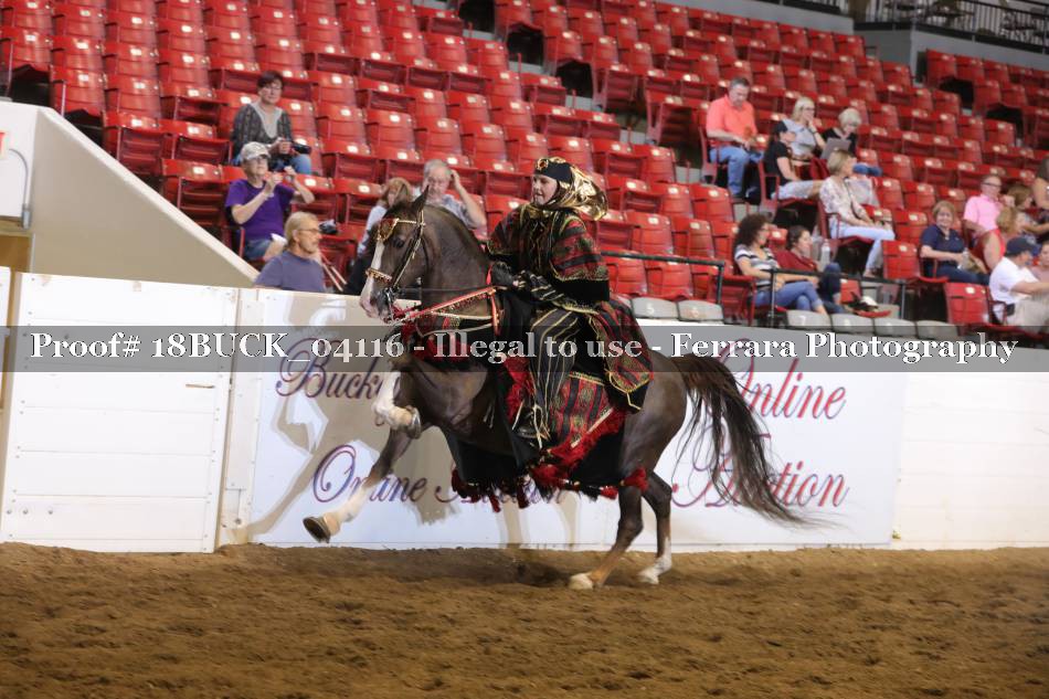Proof 18BUCK_04116