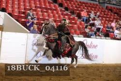 18BUCK_04116 proof