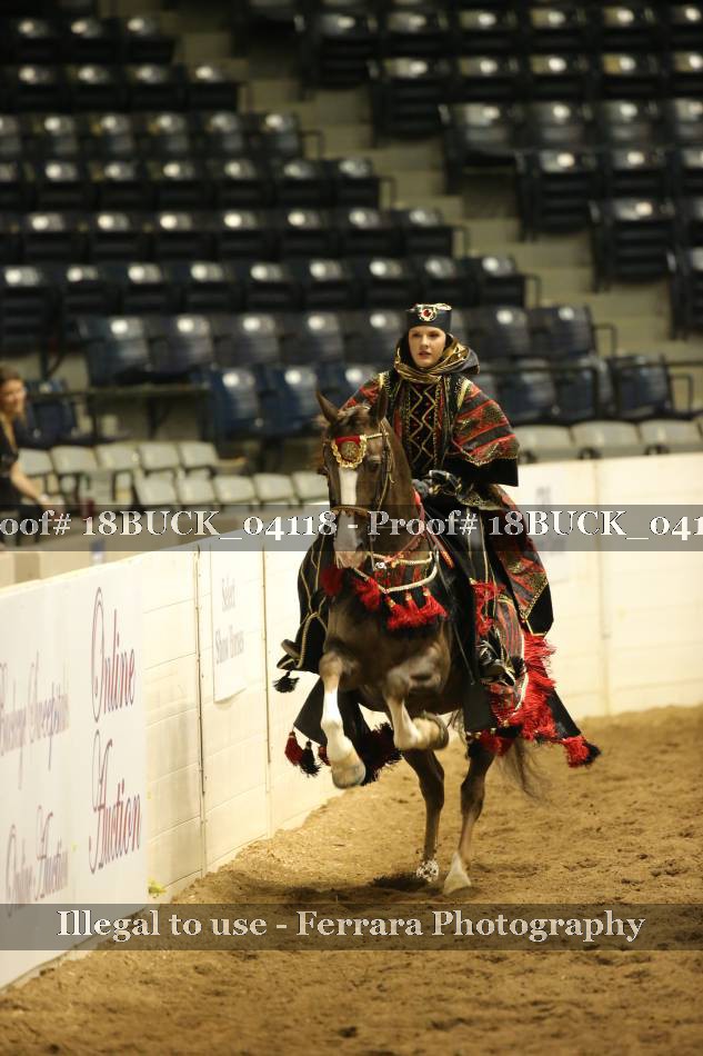Proof 18BUCK_04118