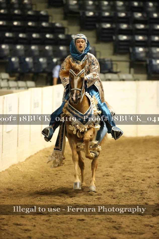 Proof 18BUCK_04119