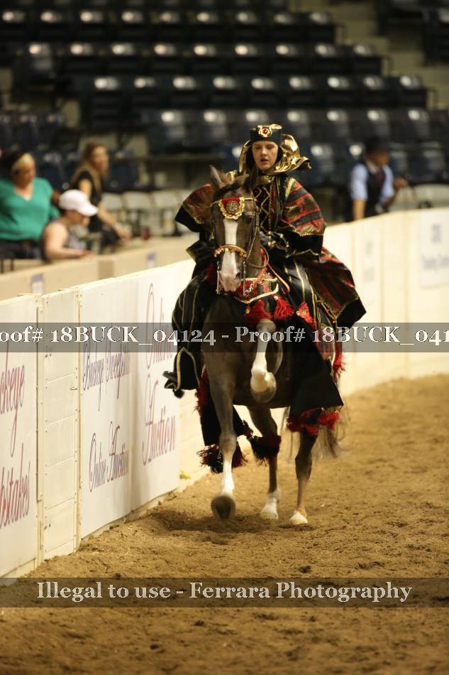 Proof 18BUCK_04124