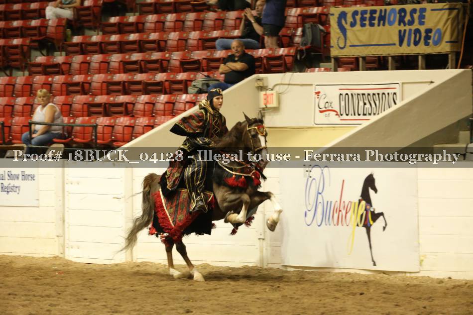 Proof 18BUCK_04128
