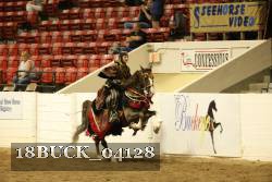 18BUCK_04128 proof