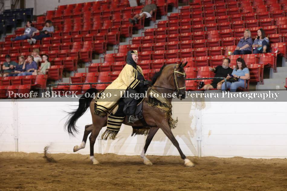 Proof 18BUCK_04130